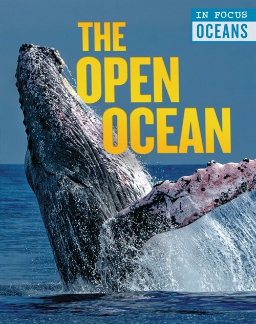The Open Ocean (Library Binding)