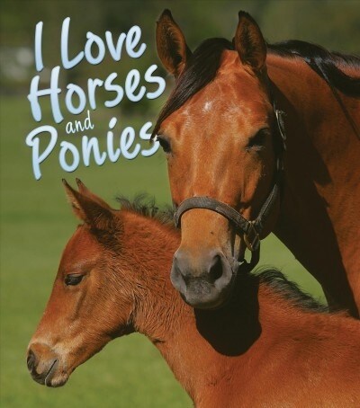 I Love Horses and Ponies (Library Binding)