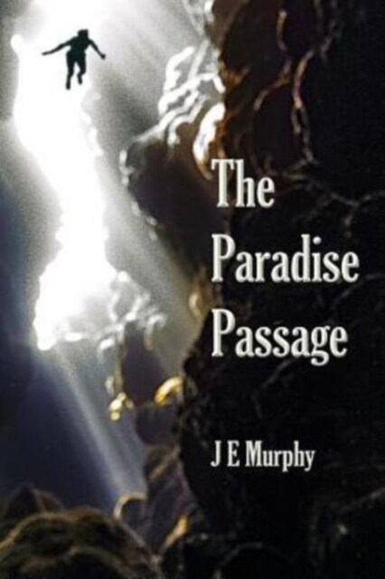 The Paradise Passage (Paperback)