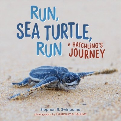 Run, Sea Turtle, Run: A Hatchlings Journey (Library Binding)