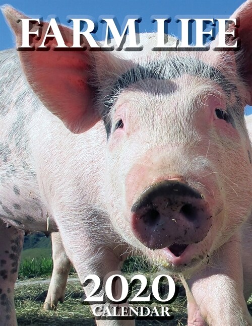 Farm Life 2020 Calendar (Paperback)