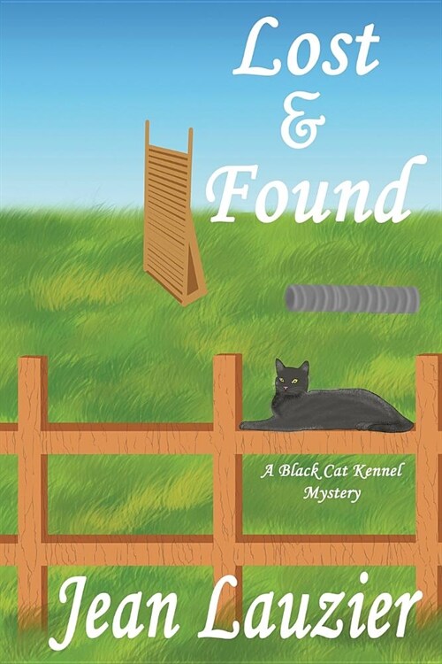 Lost & Found (Paperback)