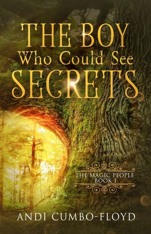 The Boy Who Could See Secrets (Paperback)
