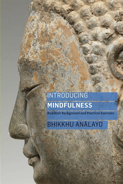Introducing Mindfulness : Buddhist Background and Practical Exercises (Paperback)