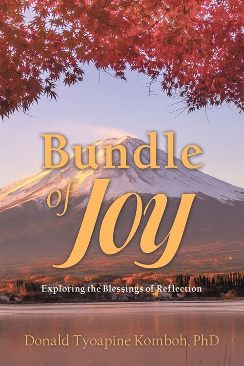 Bundle of Joy: Exploring the Blessings of Reflection (Paperback)