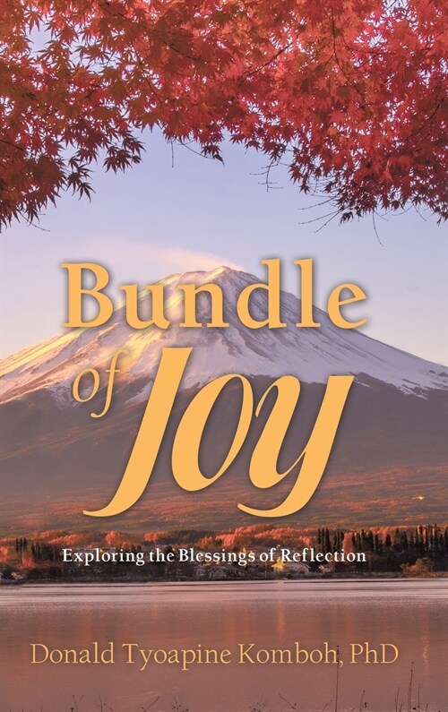 Bundle of Joy: Exploring the Blessings of Reflection (Hardcover)
