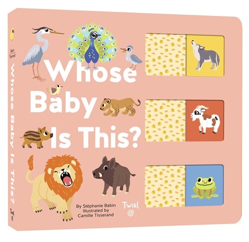 Whose Baby Is This?: A Slide-And-Learn Book (Board Books)