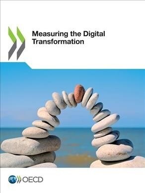 Measuring the Digital Transformation a Roadmap for the Future (Paperback)