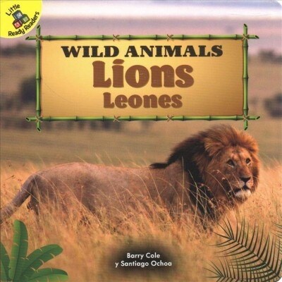 Lions: Leones (Board Books)