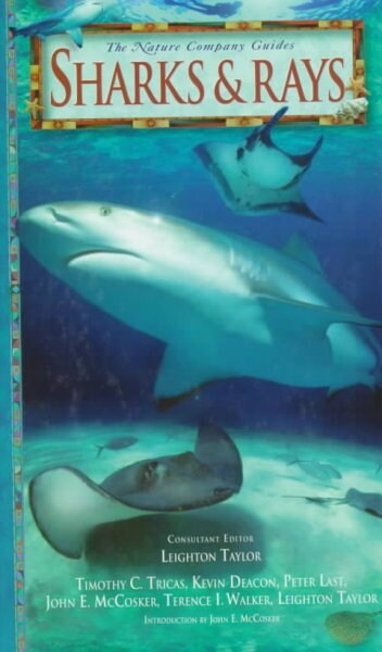 Sharks & Rays (Hardcover)