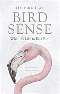Bird Sense : What its Like to be a Bird (Paperback)