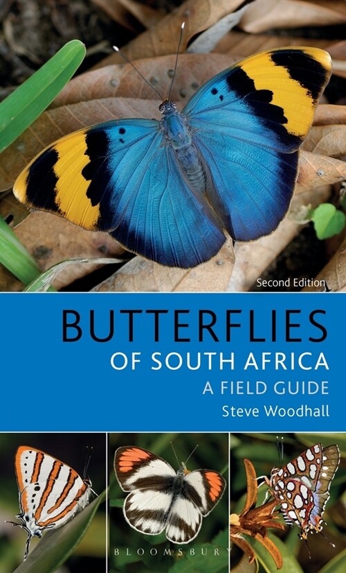 Field Guide to Butterflies of South Africa (Paperback)