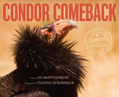 Condor Comeback (Hardcover)