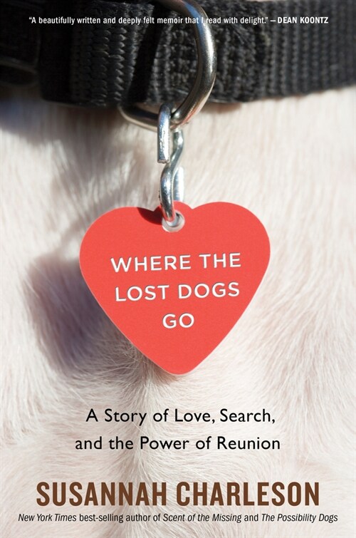 Where the Lost Dogs Go: A Story of Love, Search, and the Power of Reunion (Paperback)