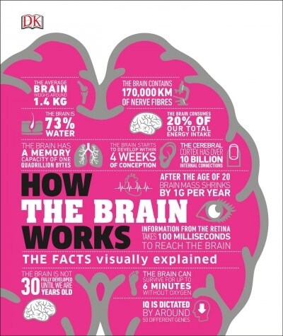 How the Brain Works: The Facts Visually Explained (Hardcover)