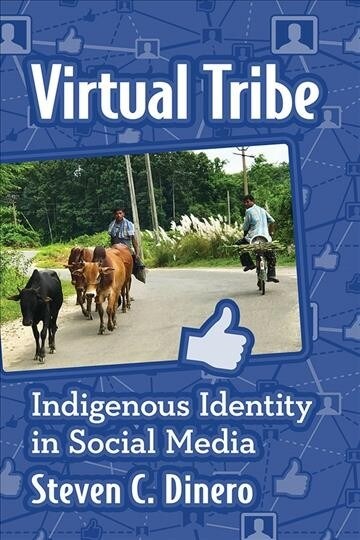 Virtual Tribe: Indigenous Identity in Social Media (Paperback)