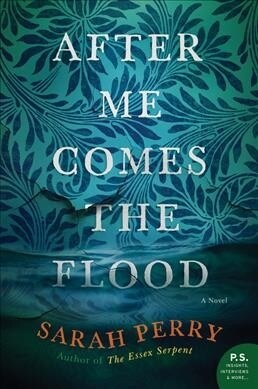 After Me Comes the Flood (Paperback)