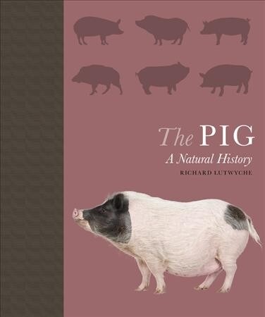 The Pig : A Natural History (Hardcover)