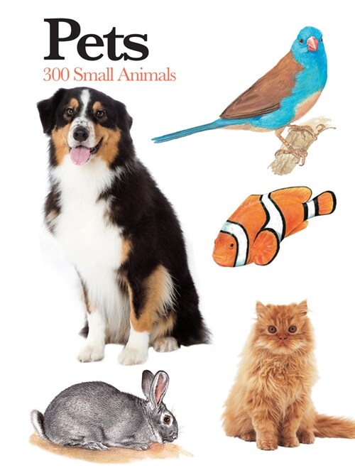 Pets : 300 Small Animals (Paperback)