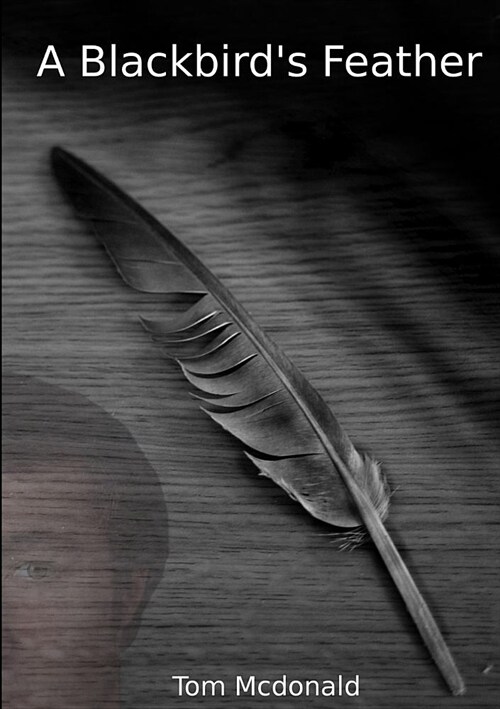 A Blackbirds Feather (Paperback)