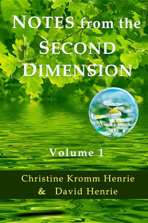 Notes from the Second Dimension: Volume 1 (Paperback)