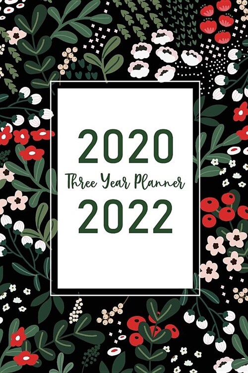 Three Year Planner 2020-2022: 3 Year Monthly Planner 2020-2022 - 36 Month Calendar for Next Three Years - 3 Year Appointment Notebook - Academic Age (Paperback)