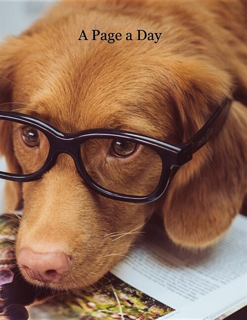 A Page a Day: Medium Lined 8.5 X 11 365 Page College Ruled Notebook, Diary and Journal for Dog Lovers (Paperback)