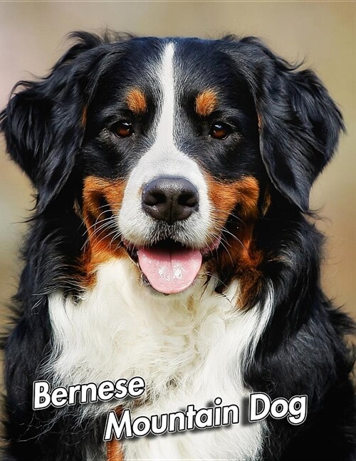 Bernese Mountain Dog: Composition Book 150 pages 8.5 x 11 in. Wide Ruled Writing Notebook Lined Paper Soft Cover Plain Journal (Paperback)