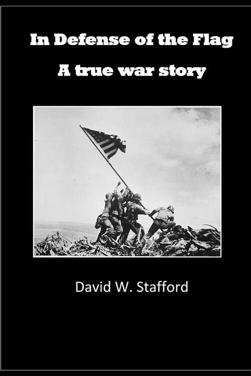 In Defense of the Flag: A true war story (Paperback)