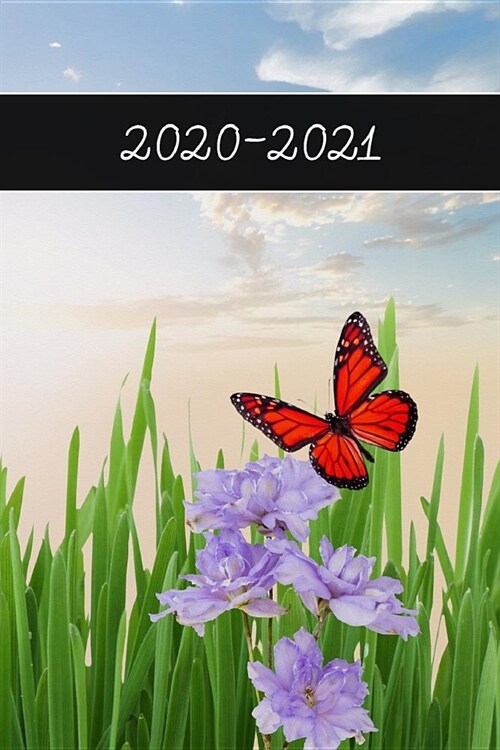 2020 - 2021: 2 Year Weekly Planner 2020 - 2021 - Flower Butterfly - Agenda Planner For The Next Two Years + 20 pages addresses + 20 (Paperback)