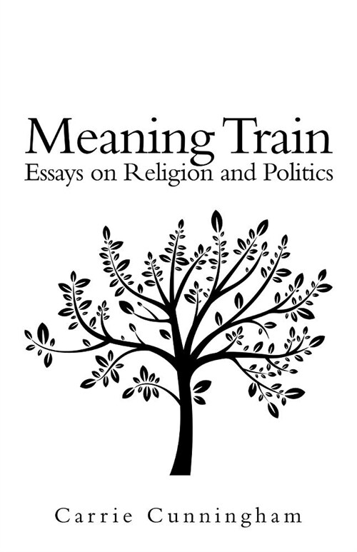 Meaning Train: Essays on Religion and Politics (Paperback)