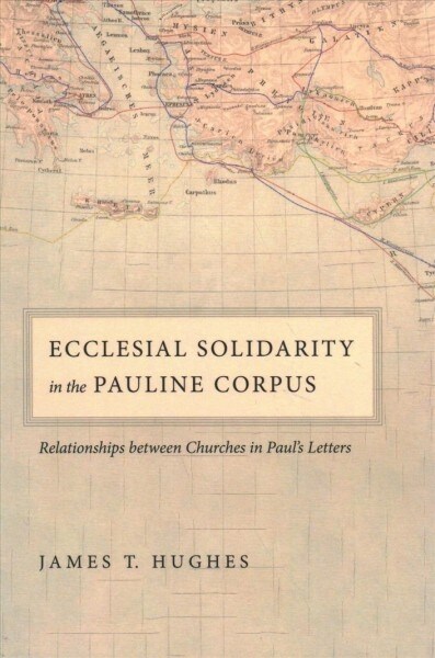 Ecclesial Solidarity in the Pauline Corpus (Paperback)