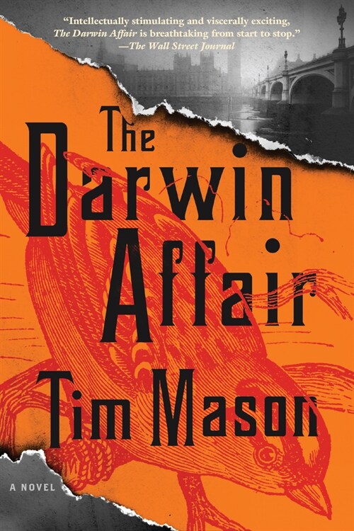 The Darwin Affair (Paperback)