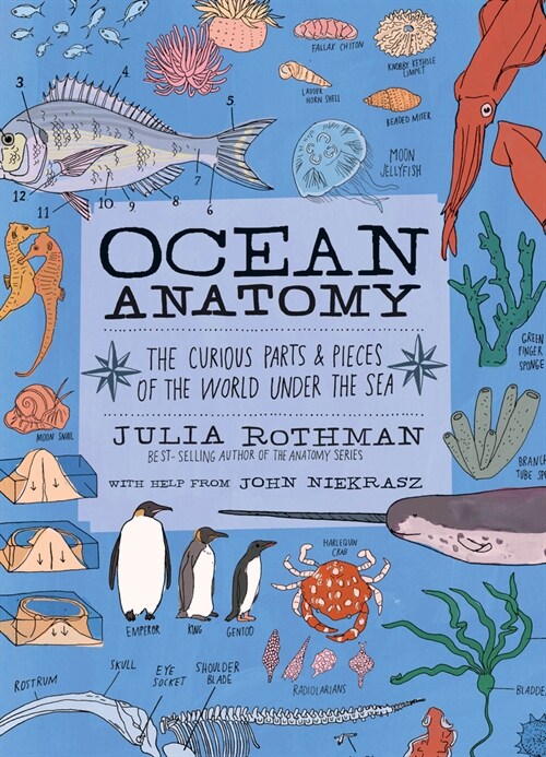 Ocean Anatomy: The Curious Parts & Pieces of the World Under the Sea (Paperback)