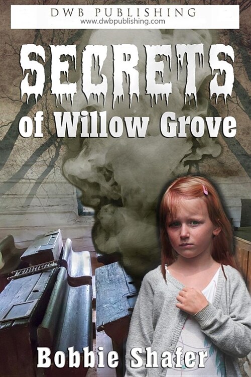 Secrets of Willow Grove (Paperback)