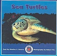 Sea Turtles (Paperback)