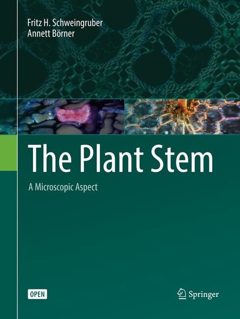 The Plant Stem (Paperback)