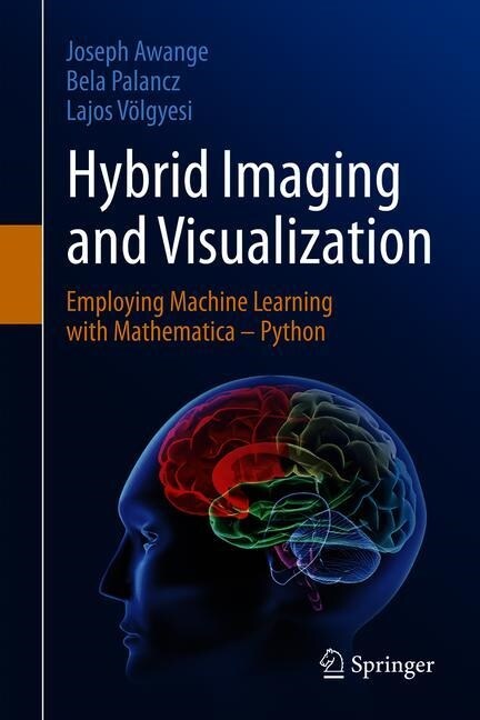 Hybrid Imaging and Visualization: Employing Machine Learning with Mathematica - Python (Hardcover, 2020)