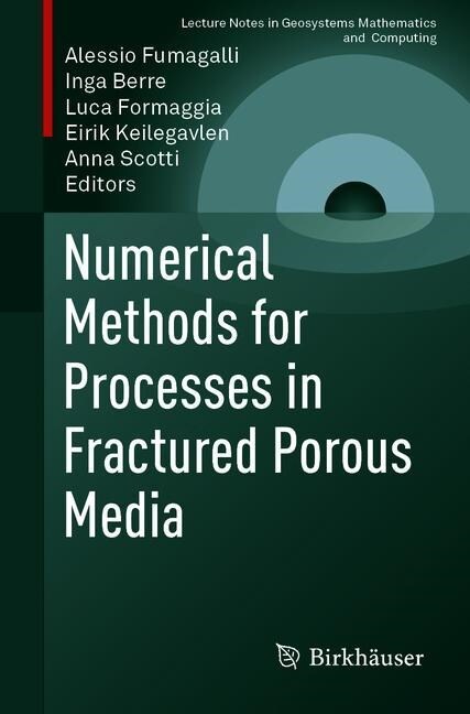 Numerical Methods for Processes in Fractured Porous Media (Paperback)