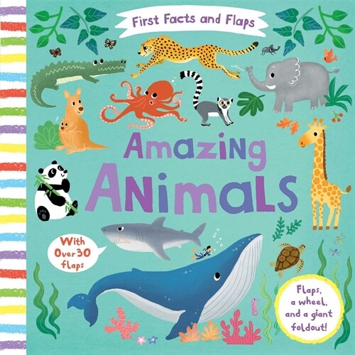 First Facts and Flaps: Amazing Animals (Board Books)