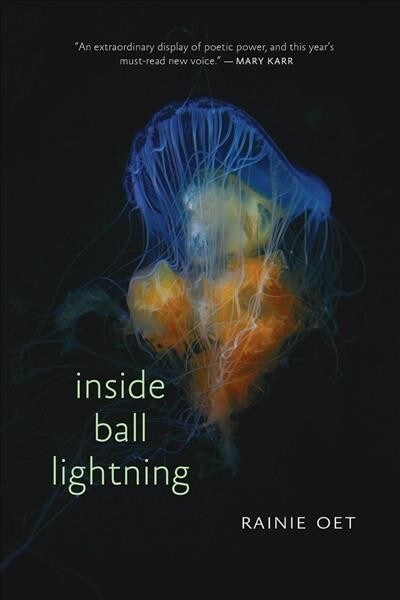 Inside Ball Lightning (Paperback)