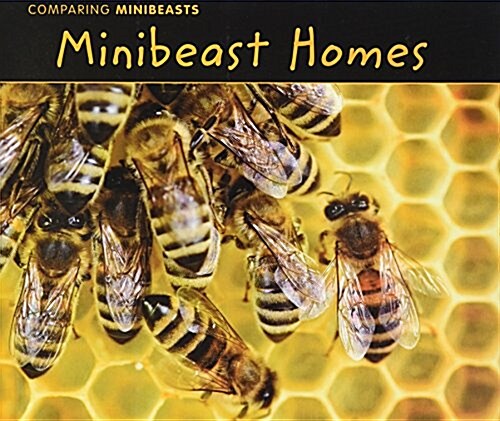 Minibeast Homes (Paperback)