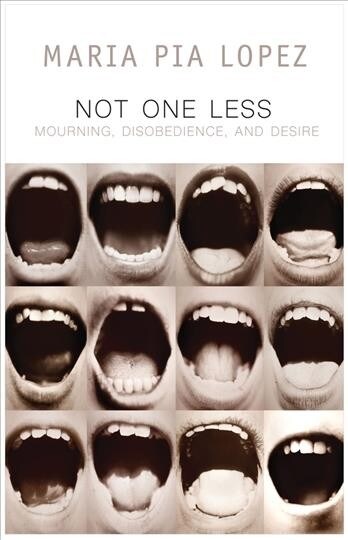 Not One Less : Mourning, Disobedience and Desire (Paperback)