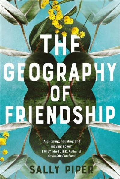 The Geography of Friendship (Paperback)