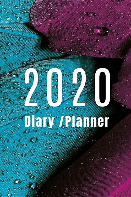 2020 Diary Planner: Page A Day (365 Pages) Daily Diary / Planner, Calendar Schedule Organizer for Daily, Weekly & Monthly Goals (2020 diar (Paperback)