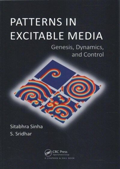 Patterns in Excitable Media : Genesis, Dynamics, and Control (Paperback)