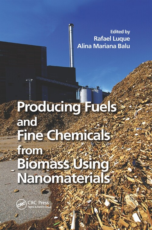 Producing Fuels and Fine Chemicals from Biomass Using Nanomaterials (Paperback, 1)