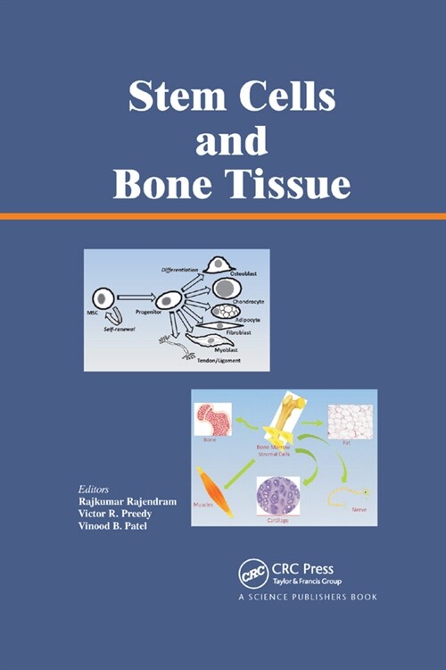 Stem Cells and Bone Tissue (Paperback, 1)