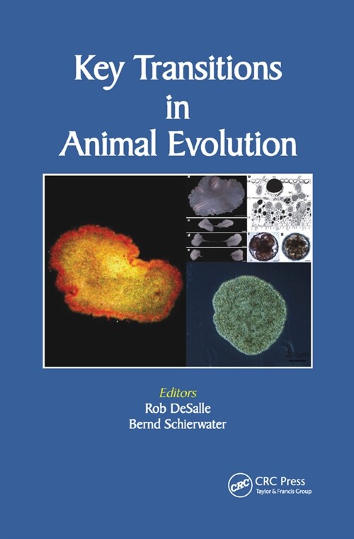 Key Transitions in Animal Evolution (Paperback, 1)