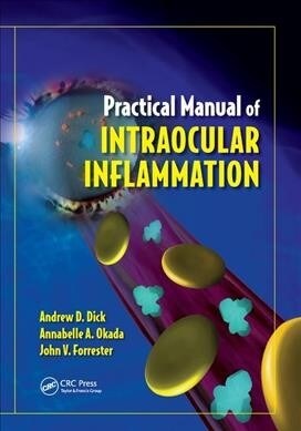 Practical Manual of Intraocular Inflammation (Paperback, 1)